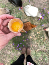 Load image into Gallery viewer, 1 dozen Hill Country Pasture Eggs--Rainbow
